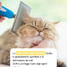 Desembaraçante de nós para cães ou gatos spray instantâneo - ideal para desfazer nós de pelo - evita a formação de nós - PetDoctors - Loja Online