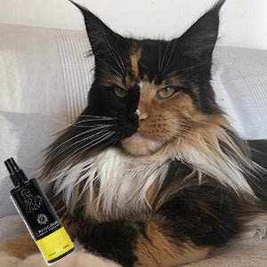 Desembaraçante de nós para cães ou gatos spray instantâneo - ideal para desfazer nós de pelo - evita a formação de nós - PetDoctors - Loja Online