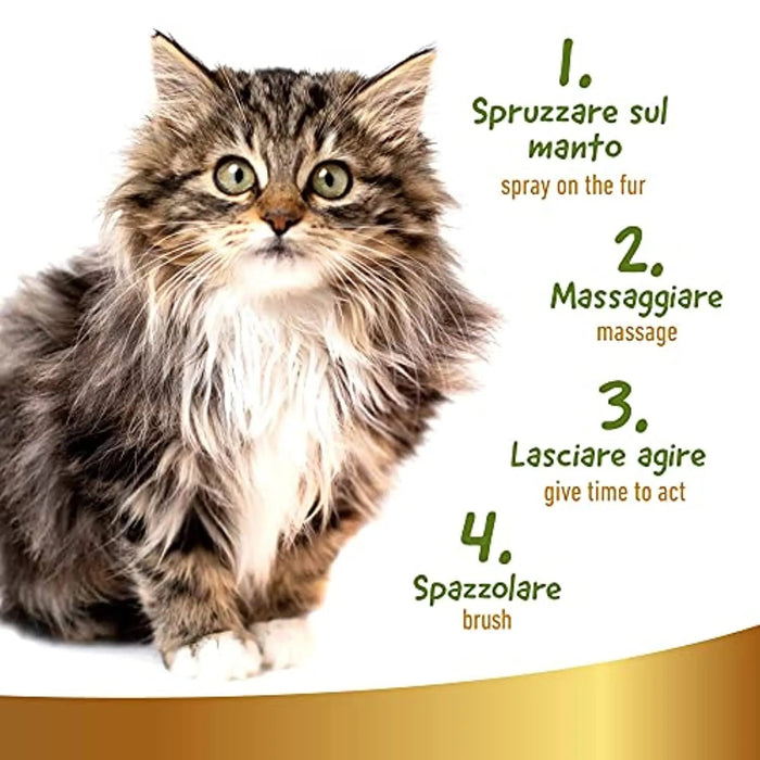 Desembaraçante e desodorizante, a seco, para gatos, 250 ml - PetDoctors - Loja Online