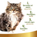 Desembaraçante e desodorizante, a seco, para gatos, 250 ml - PetDoctors - Loja Online