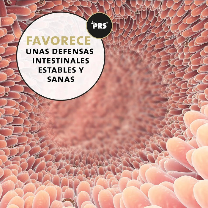Desparasitante interno - antiparasitas para cães, 100% natural, com curcuma e tomilho, contra vermes interestinais - Peticare - PetDoctors - Loja Online