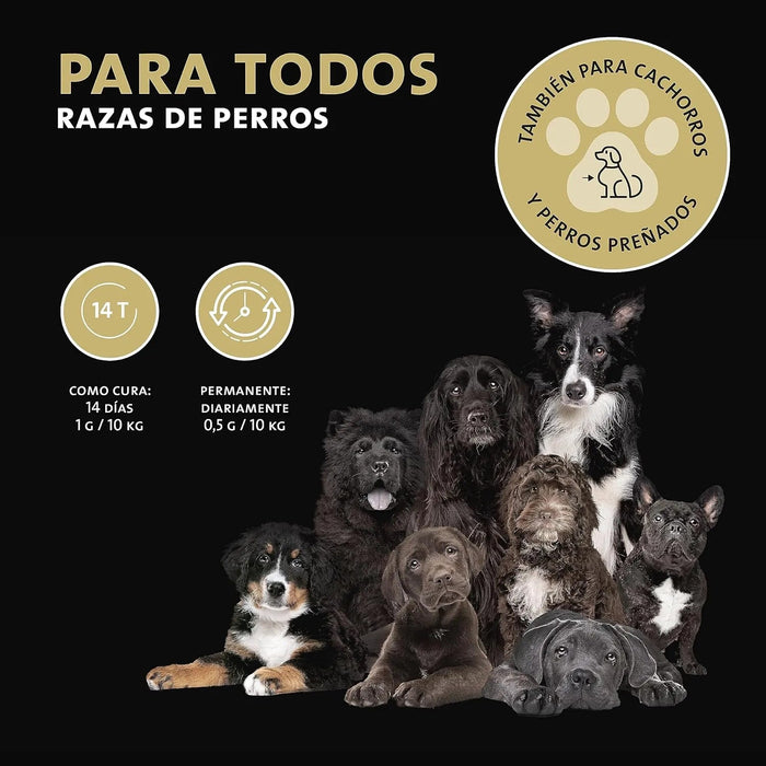 Desparasitante interno - antiparasitas para cães, 100% natural, com curcuma e tomilho, contra vermes interestinais - Peticare - PetDoctors - Loja Online