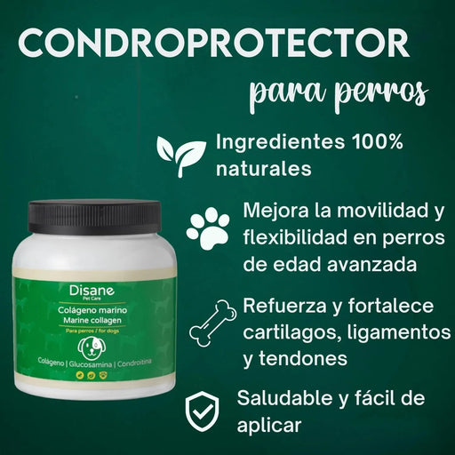 DISANE Condroprotetor para cães | Condoprotetor para cães natural para o cuidado das articulações dos cães, protege e restaura ossos, com colagénio marinho - PetDoctors - Loja Online