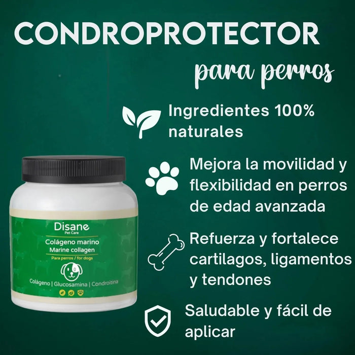 DISANE Condroprotetor para cães | Condoprotetor para cães natural para o cuidado das articulações dos cães, protege e restaura ossos, com colagénio marinho - PetDoctors - Loja Online