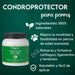 DISANE Condroprotetor para cães | Condoprotetor para cães natural para o cuidado das articulações dos cães, protege e restaura ossos, com colagénio marinho - PetDoctors - Loja Online