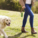 Dispensador de Sacos para Dejetos com Lanterna LED Integrada - PetDoctors - Loja Online