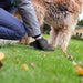 Dispensador de Sacos para Dejetos com Lanterna LED Integrada - PetDoctors - Loja Online