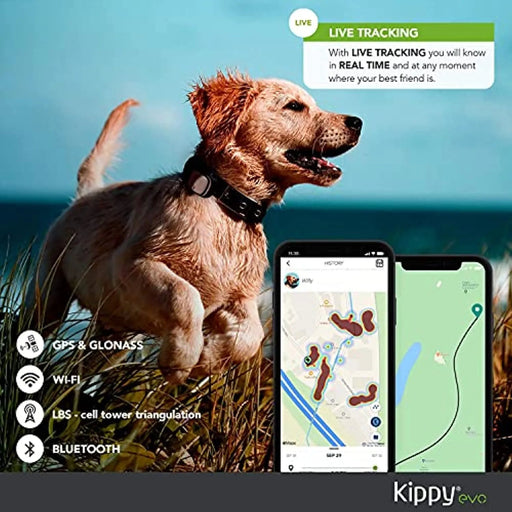 Dispositivo com GPS - para Coleira de Cães ou Gatos - Seguimento de Actividade, 38 gr de peso, à Prova de Água, Bateria 10 dias - PetDoctors - Loja Online