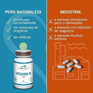 DOG FIT by PreThis® Complexo de Vitamina B para cães de porte médio, Vegan, sistema nervoso, incontinência, espondilose, tremores (10 - 25 kg) - PetDoctors - Loja Online