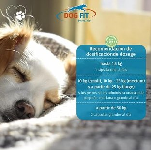 DOG FIT by PreThis® Complexo de Vitamina B para cães pequenos, Vegan, sistema nervoso, incontinência, espondilose, tremores (até 10 kg) - PetDoctors - Loja Online