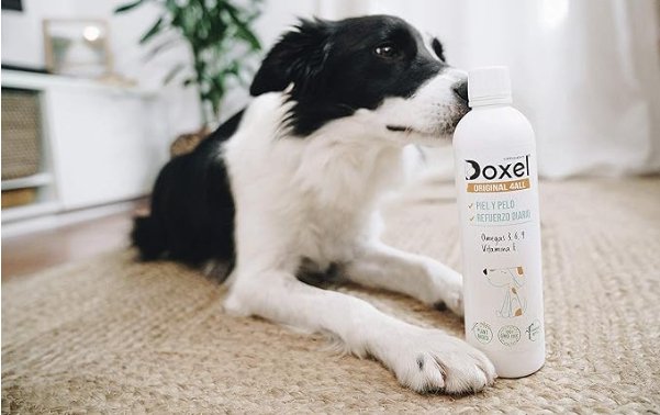 DOXEL Original 4ALL - Óleo para cães | Suplemento natural, sistema imunitário reforçado, articulações saudáveis, pêlo brilhante, pele saudável, ácidos gordos ômega 3 6 9, vitamina E - PetDoctors - Loja Online