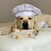 Doxel Supplements - Snacks para cães 100% naturais | Doxelitos | Cães de todas as raças e idades, fácil digestão, hipoalergénico e Grain Free | 3 caixas de oxelitos 25 unidades / caixa - PetDoctors - Loja Online