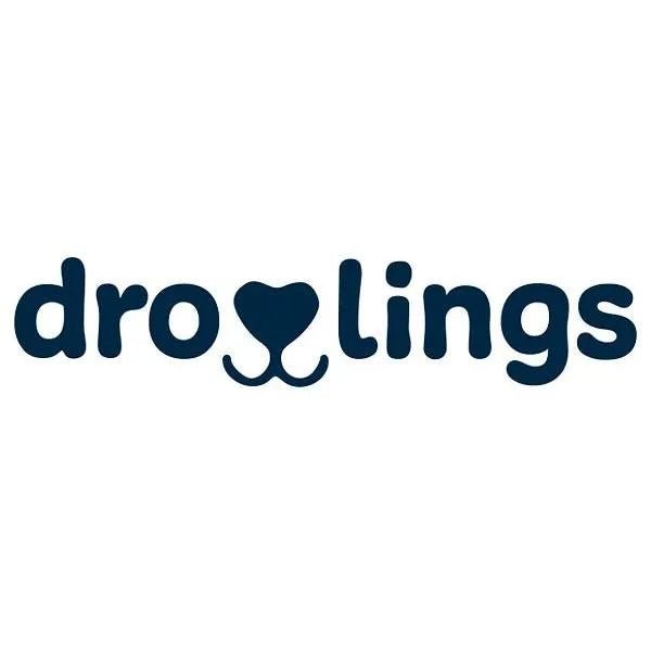 Droolings Condroprotetor e anti - inflamatório com 135 unidades, para cães - Suplemento natural para anca e articulações - PetDoctors - Loja Online