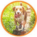 Droolings Condroprotetor e anti - inflamatório com 135 unidades, para cães - Suplemento natural para anca e articulações - PetDoctors - Loja Online