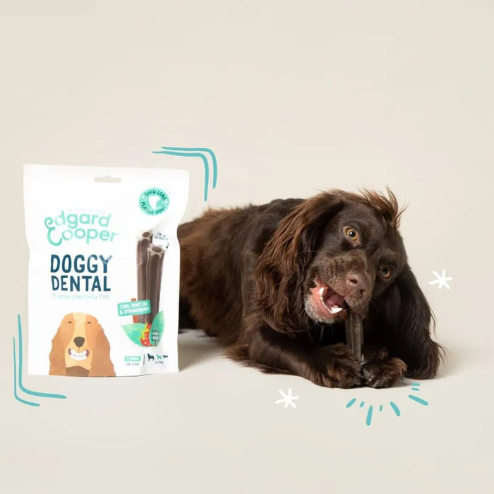 Edgard & Cooper Dental Stick para cães de Raças médias - 56 barras para a higiene oral - prémios naturais sem cereais - 7 Sticks x 8 embalagens - Eucalipto e maçã, higiene oral, baixo em calorias, hálito fresco - PetDoctors - Loja Online