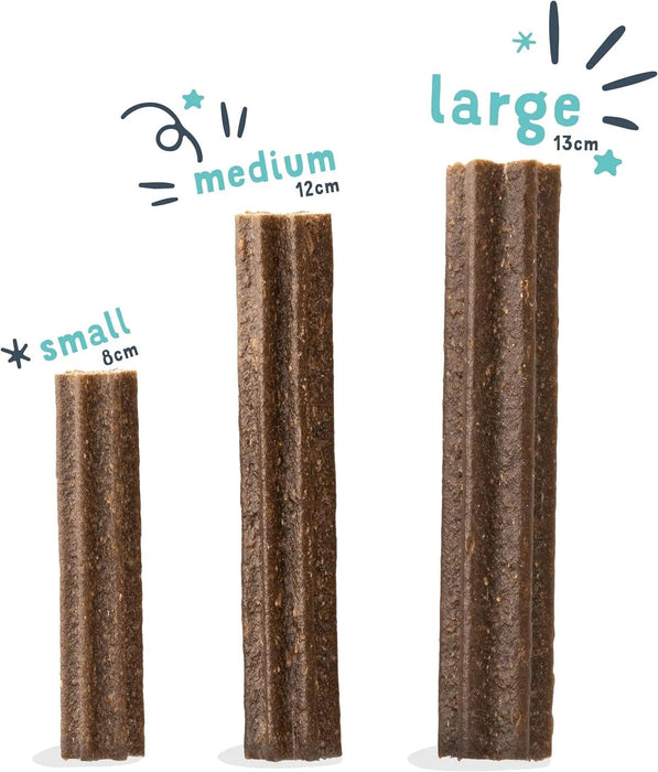 Edgard & Cooper Dental Stick para cães de Raças médias - 56 barras para a higiene oral - prémios naturais sem cereais - 7 Sticks x 8 embalagens - Eucalipto e maçã, higiene oral, baixo em calorias, hálito fresco - PetDoctors - Loja Online