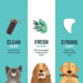 Edgard & Cooper Dental Stick para cães pequenos 56 barras para a higiene oral - prémios naturais sem cereais 7 Sticks x 8 Eucalipto e maçã, higiene oral, baixo em calorias, hálito fresco - PetDoctors - Loja Online