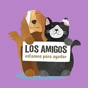Edgard & Cooper Dental Stick para cães pequenos 56 barras para a higiene oral - prémios naturais sem cereais 7 Sticks x 8 Eucalipto e maçã, higiene oral, baixo em calorias, hálito fresco - PetDoctors - Loja Online