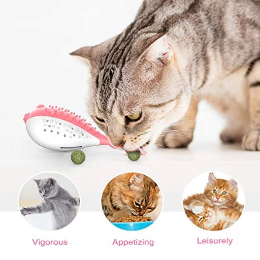 Escova de Dentes / Brinquedo para Gatos - Dentes limpos - Resistente à mastigação - PetDoctors - Loja Online