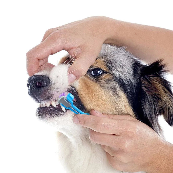 Escova de dentes, com 3 lados, para cães - PetDoctors - Loja Online