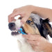 Escova de dentes, com 3 lados, para cães - PetDoctors - Loja Online