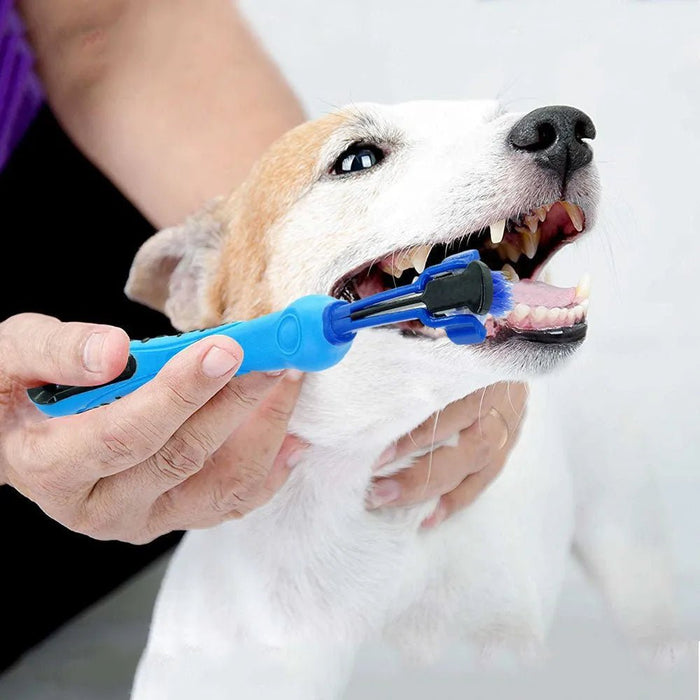 Escova de dentes, com 3 lados, para cães - PetDoctors - Loja Online
