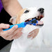 Escova de dentes, com 3 lados, para cães - PetDoctors - Loja Online