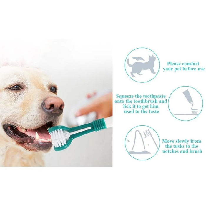 Escova de dentes para cães, 4 escovas de dentes - 2 de 3 cabeças e 2 normais - PetDoctors - Loja Online