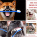 Escova de dentes para cães, 4 escovas de dentes - 2 de 3 cabeças e 2 normais - PetDoctors - Loja Online