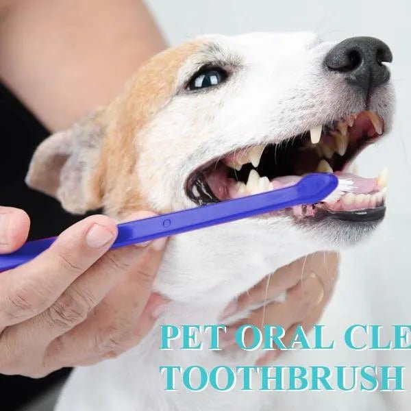 Escova de dentes para cães, 4 escovas de dentes - 2 de 3 cabeças e 2 normais - PetDoctors - Loja Online