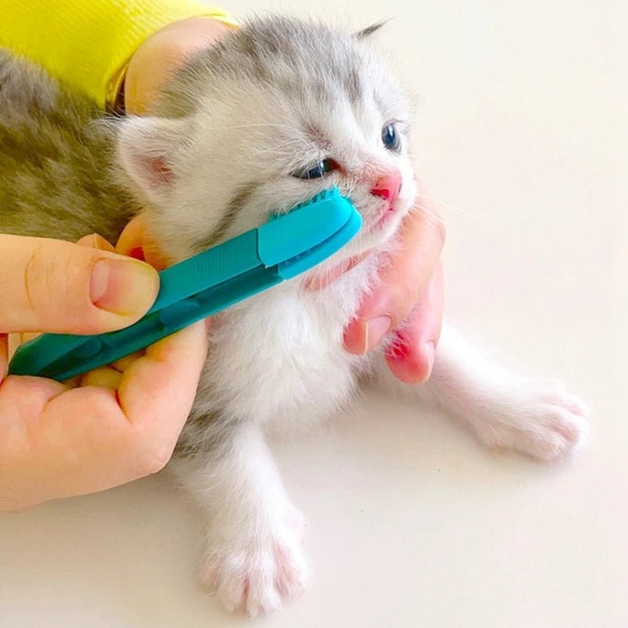 Escova de limpeza de olhos e pestanas, para gatos ou cães pequenos - PetDoctors - Loja Online