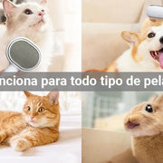Escova para gatos ou cães [3 em 1] - PetDoctors - Loja Online