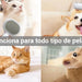 Escova para gatos ou cães [3 em 1] - PetDoctors - Loja Online
