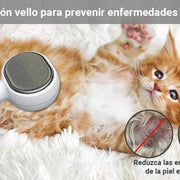 Escova para gatos ou cães [3 em 1] - PetDoctors - Loja Online