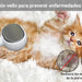 Escova para gatos ou cães [3 em 1] - PetDoctors - Loja Online