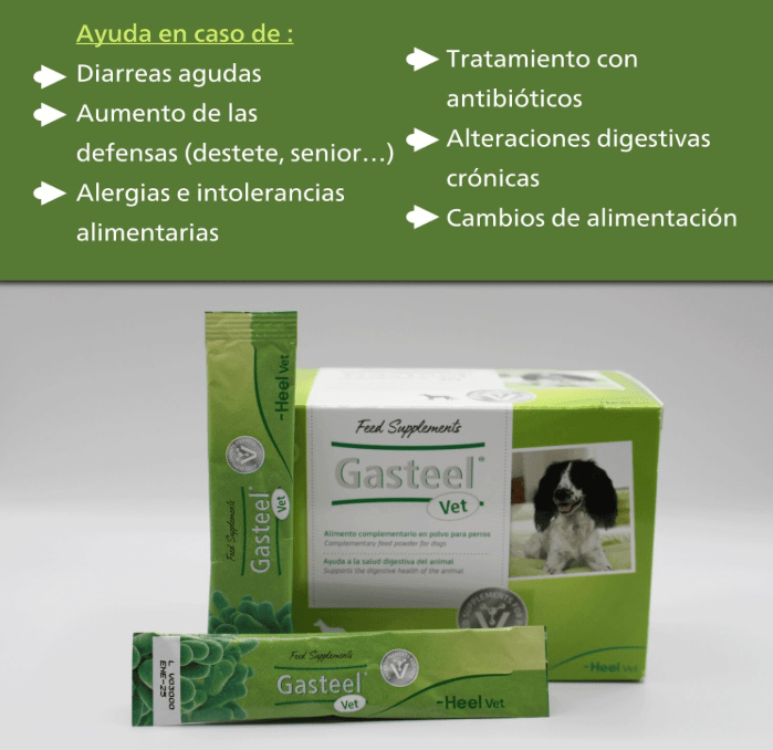 Gasteel Vet Probiótico para Cães | Saúde Digestiva 30 Saquetas - PetDoctors - Loja Online