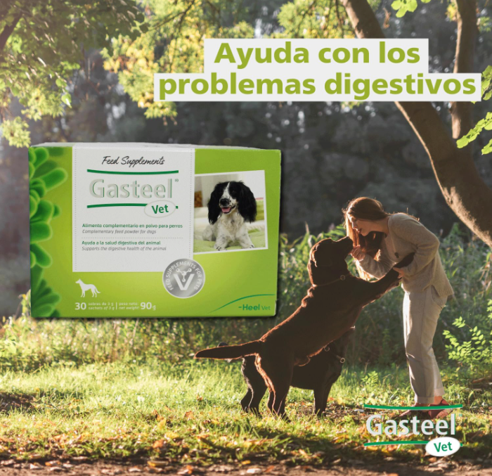 Gasteel Vet Probiótico para Cães | Saúde Digestiva 30 Saquetas - PetDoctors - Loja Online
