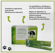 Gasteel Vet Probiótico para Cães | Saúde Digestiva 30 Saquetas - PetDoctors - Loja Online