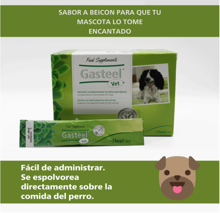 Gasteel Vet Probiótico para Cães | Saúde Digestiva 30 Saquetas - PetDoctors - Loja Online