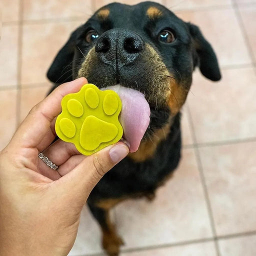 Gelado para cães e gatos - caixa 6 x 40 g - 3 sabores x 2: Banana e açafrão, maçã e acelga vermelha, pera e algas espirulina - 100% Pet Friendly - fresco e saboroso - Made in Italy - PetDoctors - Loja Online