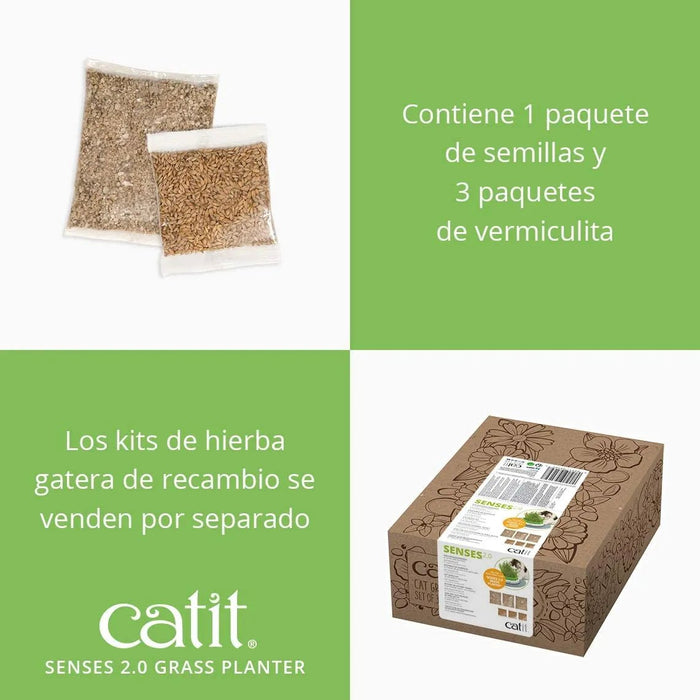 Germinador / Vaso sem Erva Gateira para Gatos - PetDoctors - Loja Online