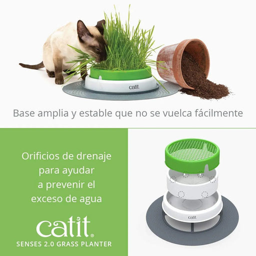 Germinador / Vaso sem Erva Gateira para Gatos - PetDoctors - Loja Online