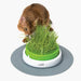Germinador / Vaso sem Erva Gateira para Gatos - PetDoctors - Loja Online