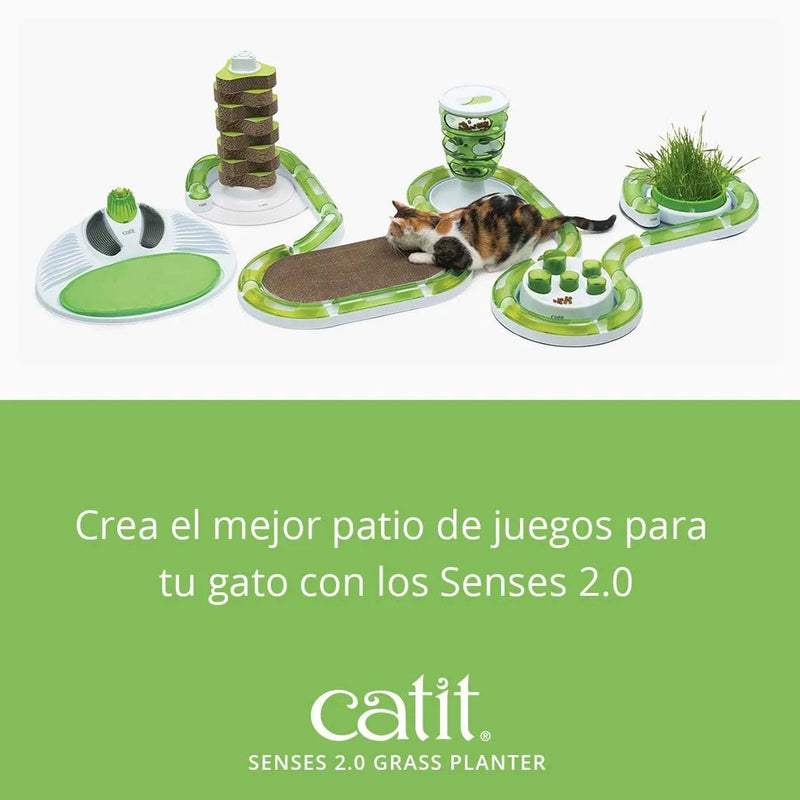 Germinador / Vaso sem Erva Gateira para Gatos - PetDoctors - Loja Online