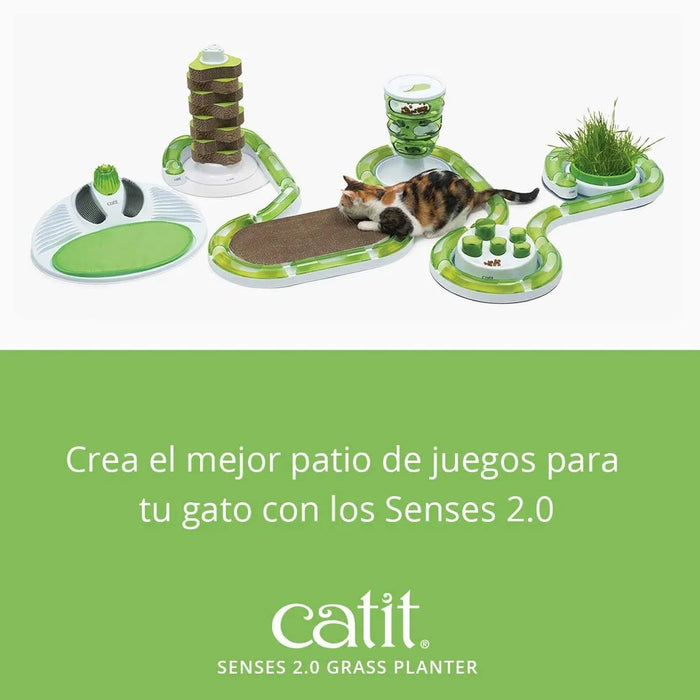 Germinador / Vaso sem Erva Gateira para Gatos - PetDoctors - Loja Online
