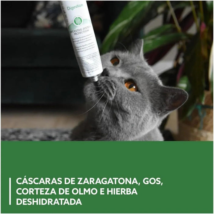 GimCat EXPERT LINE Gastro intestinal, pasta funcional para gatos - proteção do sistema digestivo, favorece a saúde intestinal, tem um efeito prebiótico - 1 tubo (1 x 50 g) - PetDoctors - Loja Online