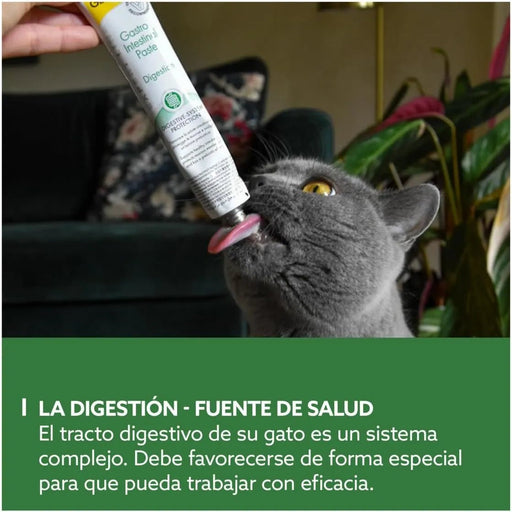 GimCat EXPERT LINE Gastro intestinal, pasta funcional para gatos - proteção do sistema digestivo, favorece a saúde intestinal, tem um efeito prebiótico - 1 tubo (1 x 50 g) - PetDoctors - Loja Online