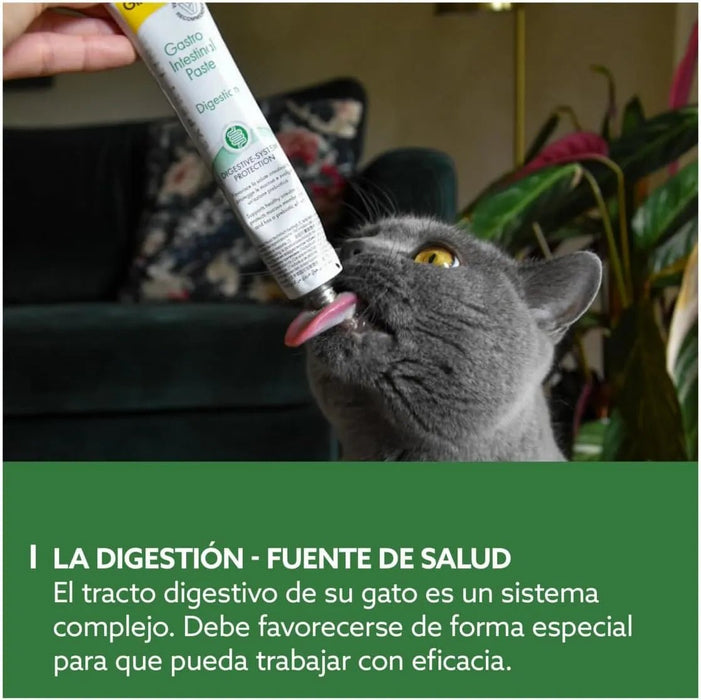 GimCat EXPERT LINE Gastro intestinal, pasta funcional para gatos - proteção do sistema digestivo, favorece a saúde intestinal, tem um efeito prebiótico - 1 tubo (1 x 50 g) - PetDoctors - Loja Online