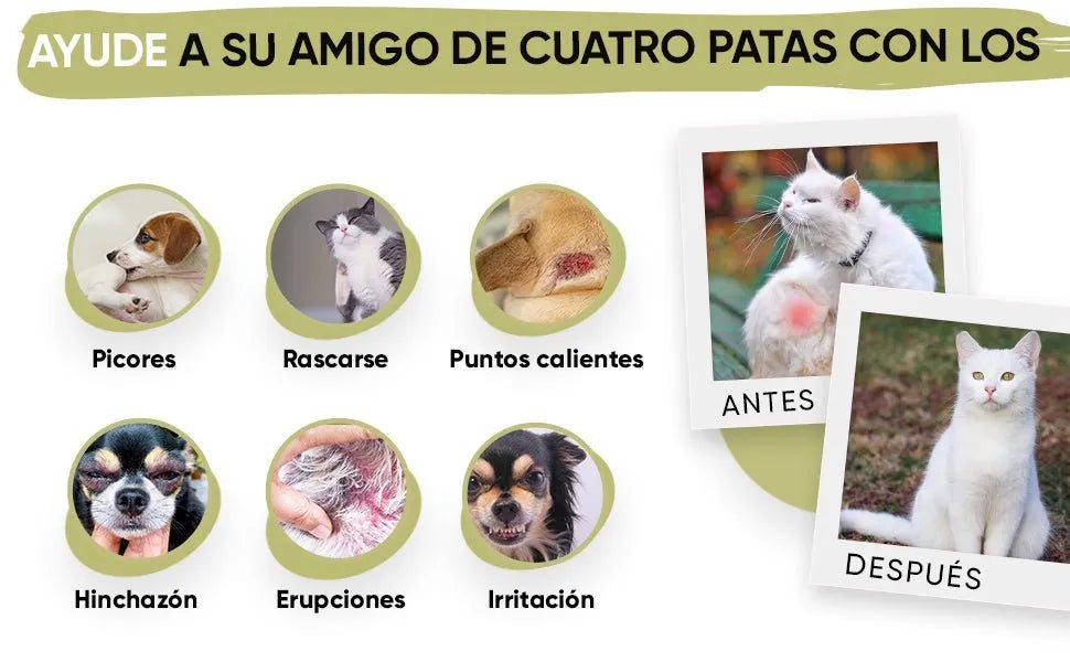 Gotas anti - comichão para cães e gatos 250 ml - ação eficaz contra a comichão, ideal para alergias a ervas, pólen e alimentos dos seus animais de estimação, alivia a comichão em gatos e cães - PetDoctors - Loja Online