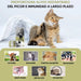 Gotas anti - comichão para cães e gatos 250 ml - ação eficaz contra a comichão, ideal para alergias a ervas, pólen e alimentos dos seus animais de estimação, alivia a comichão em gatos e cães - PetDoctors - Loja Online